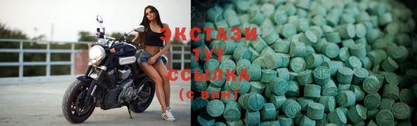 крисы Бородино