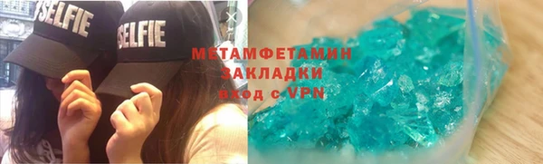 крисы Бородино