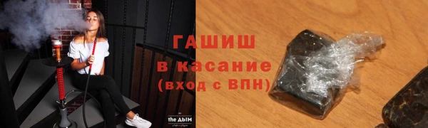 крисы Бородино