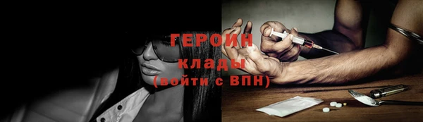 крисы Бородино