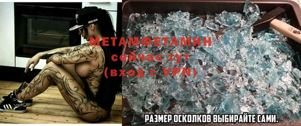крисы Бородино