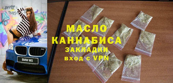 крисы Бородино