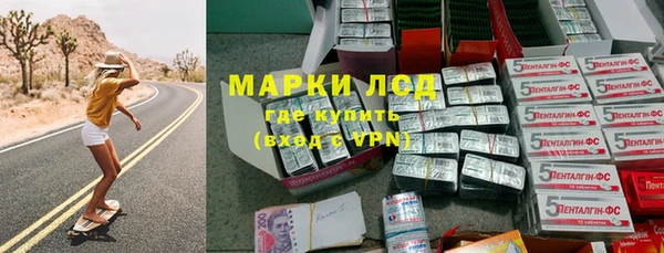 крисы Бородино