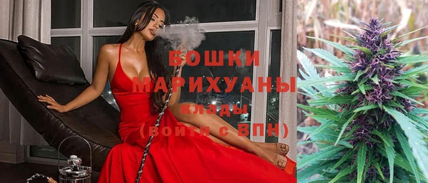 крисы Бородино