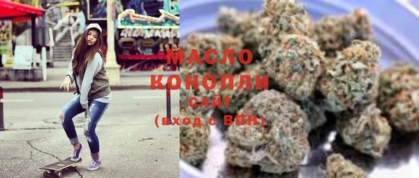 крисы Бородино